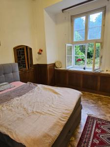 a bedroom with a large bed and a window at Villa de Weser Hameln in Hameln