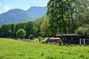 a building with two red umbrellas in a field at Heulandhof in Bad Hindelang