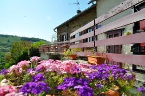a group of flowers in front of a building at Chez Lucien in Trébas