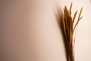 a bunch of grass leaning against a wall at Sparrow Sintra Nest in Sintra