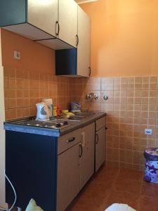 a kitchen with a sink and a counter top at Apartment Davidovic in Tivat