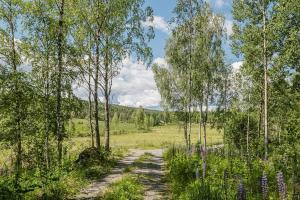 Foto de la galeria de Minimalist Cabin With Forest Views In Arvika a Arvika