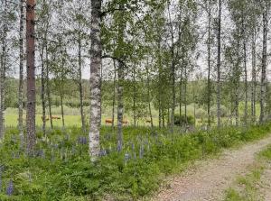 Foto de la galeria de Minimalist Cabin With Forest Views In Arvika a Arvika