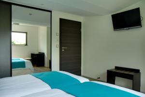 1 dormitorio con 1 cama, TV y espejo en Le Gallus, en Boersch