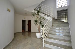 Fotografie z fotogalerie ubytování IstraNova Apartments v Rovinji