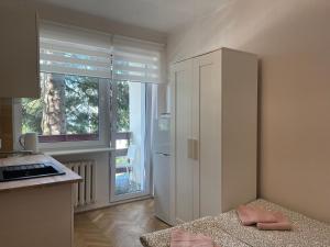 Kuchyňa alebo kuchynka v ubytovaní Apartamenty Przy Plaży Gdynia Orłowo