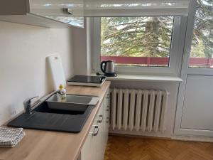 Kuchyňa alebo kuchynka v ubytovaní Apartamenty Przy Plaży Gdynia Orłowo