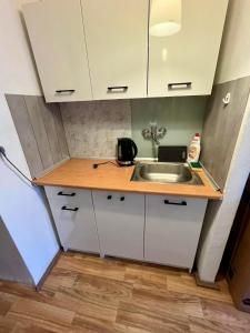 mała kuchnia ze zlewem i blatem w obiekcie :: Apartment City Center :: w Warszawie