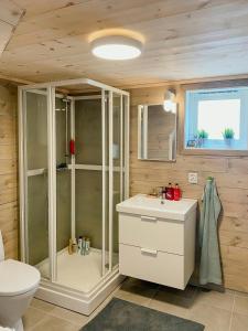 a bathroom with a shower and a toilet and a sink at Mountain Cabin With Glacier Views in Norheimsund