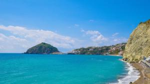 a view of a beach with a mountain at Hotel Regina del Mare in Ischia