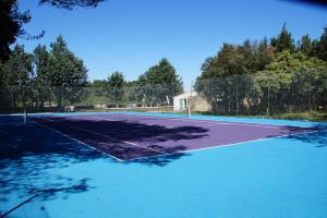 a tennis court with a tennis court at Le Domaine d'Alèzen in Grans