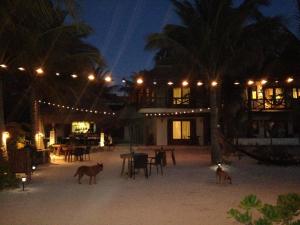 Fotografie z fotogalerie ubytování Casa Iguana Holbox - Beachfront Hotel v destinaci Ostrov Holbox