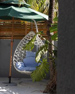 Ảnh trong thư viện ảnh của Kirulhiya Maldives - Omadhoo ở Omadhoo