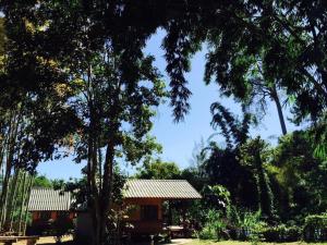 Zahrada ubytování Chiang Dao Hut