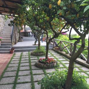 Zahrada ubytování b&b I Limoni