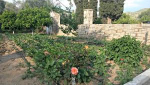 a garden with a retaining wall and a red flower at Kerveli Luxury Villa in Kerveli