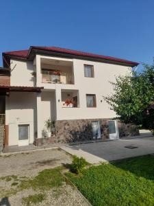 a large white house with windows and a yard at Casa M&M in Vişeu de Sus