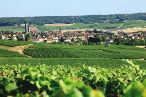 a view from a vineyard of a small town in a green field at Logis Le Relais Champenois in Sézanne