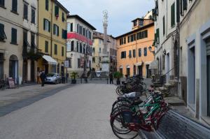 Nabolaget omkring lejligheden eller i nærheden