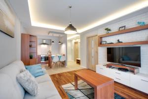 a living room with a couch and a tv at River Boulevards Apartment in Kraków