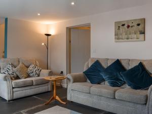 two couches in a living room with blue pillows at Uk47757 - Rose Cottage in Launceston