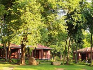 a house in the middle of a forest of trees at Neem Villas in Tanjanagaram