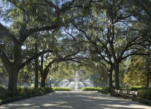 Zahrada ubytování Hyatt Regency Savannah
