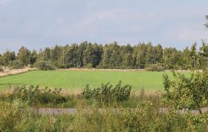 a large green field with trees in the background at 2 Bedroom Lovely Home In Degerhamn in Gammalsby
