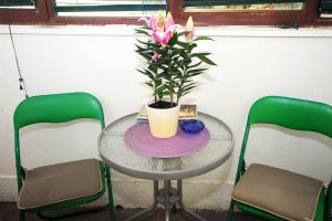 Galeriebild der Unterkunft Apartment Vilma in Zadar + 22 Fotos