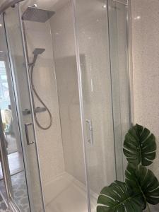 una doccia con porta in vetro accanto a una pianta di Cosy little house on Great Orme a Llandudno Altre 22 foto