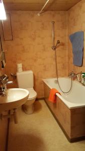 a bathroom with a toilet and a tub and a sink at Chalet Spillstatt in Grindelwald