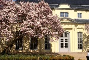un árbol con flores rosas delante de un edificio en Hofgärtnerei en Altemburgo