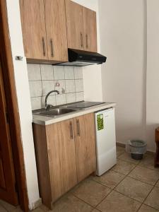 małą kuchnię ze zlewem i kuchenką w obiekcie LAURA Skiathos w mieście Skiatos +24 zdjęcia