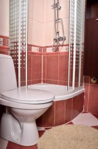 łazienka z toaletą i prysznicem w obiekcie Apartament Kielce Lecha w Kielcach