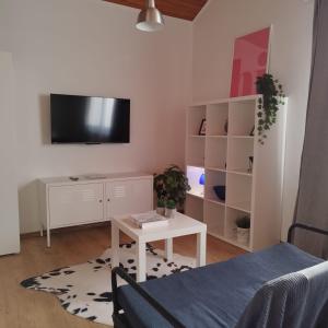 Televízia a/alebo spoločenská miestnosť v ubytovaní Apartments Garden Zagreb