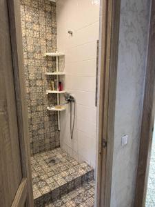 a bathroom with a shower with a tiled shower at Гостевой дом Altyn Dan in Kegen +11 photos