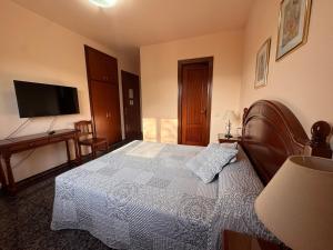 a bedroom with a large bed and a flat screen tv at Hostal El Violí in Cardona