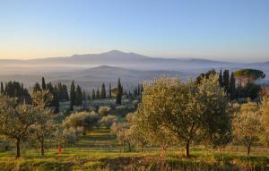 a field with trees and mountains in the distance at Awesome Apartment In Arcidosso in Arcidosso