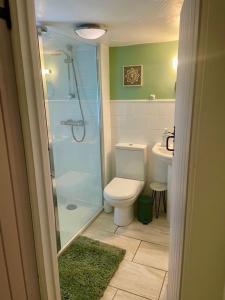a bathroom with a shower and a toilet and a sink at Cozy Cotswold Burford Cottage in Burford