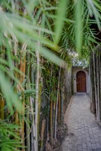 a hallway lined with bamboo plants with a door at Ben Bali Villa in Seminyak