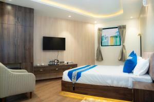 TV a/nebo společenská místnost v ubytování Hotel Smart Durbar
