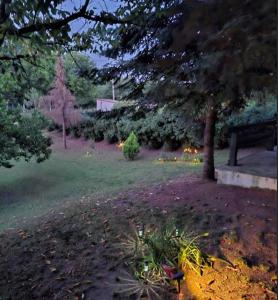 Giardino di Šumska kuća Atina - Devojački Bunar