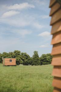 a small wooden building in a field with trees at Farm Cabin im Grünen in Wardow