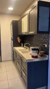 a kitchen with a sink and a refrigerator at Pantheon Luxury Apartment in Rome