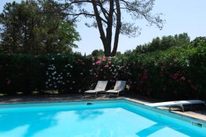 Basen w obiekcie very pleasant provençal mas, typical to the region, with heated pool in saint remy de provence - 9 people lub w pobliżu