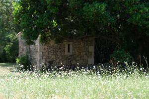 Ogród w obiekcie very pleasant provençal mas, typical to the region, with heated pool in saint remy de provence - 9 people