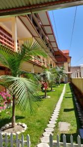 a palm tree in front of a building at Hospedaje El Manantial in Oxapampa