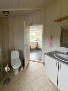 a bathroom with a toilet and a sink at Family Retreat By Roskilde Fjord in Ølsted