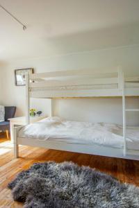 a white bunk bed in a room with a rug at Archipelago Cottage With Private Pier In Tjust in Loftahammar +5 photos