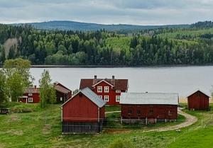 Příroda nedaleko prázdninového domu